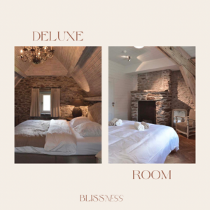 Luxury reset retreat - Deluxe kamer - betalen in 5x